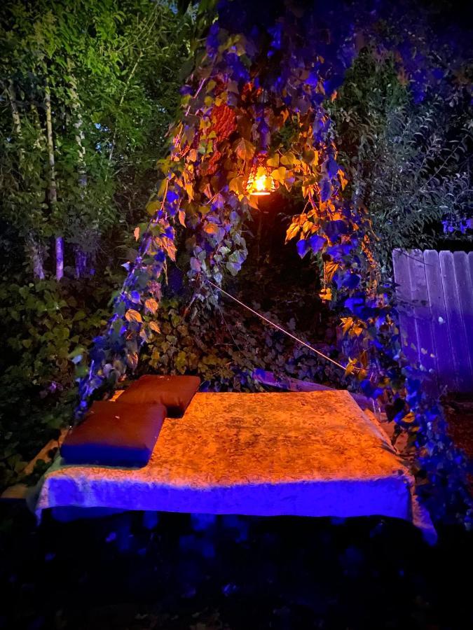 My Big Art Project Bed & Breakfast Santa Rosa Ngoại thất bức ảnh